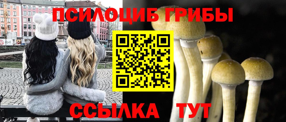 Карпинск  Псилоцибиновые грибы мицелий  Вход с VPN 